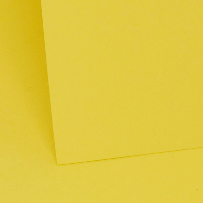 Daffodil Plain Card 290gsm image