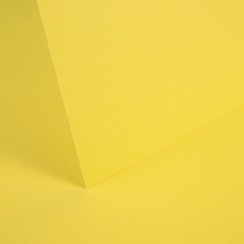 Daffodil Yellow Plain Card 240gsm image