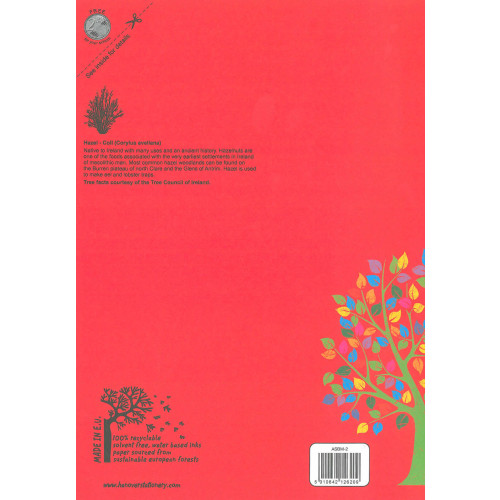 Aisling Exercise Book A4 32p F8M Pk5