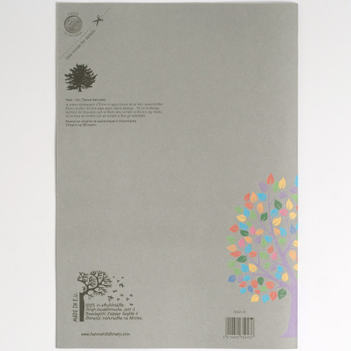 Aisling Graph Bk A4 32p G2:10:20 Pk10