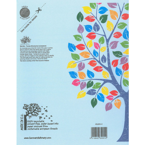 Aisling Exercise Book 226x178 32p B Pk10