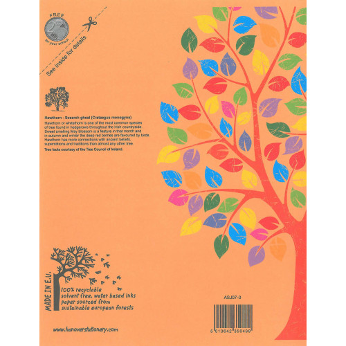 Aisling Exercise Book 226x178 32pS20Pk10