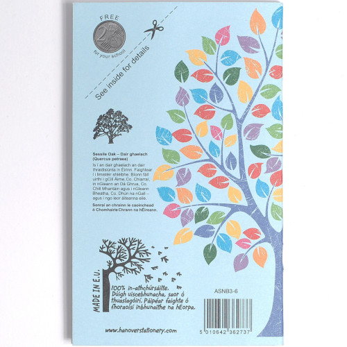 Aisling Notebook 165x102 48p F7 Pk10
