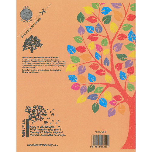 Aisling Exercise Book 200x165 88p S7Pk10