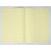 GHP A4 32 Page SEN Books - Light Green with Cream Tinted Paper 10mm Squared - Pack of 10