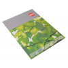 RHINO A1 Flipchart Pad 40 Leaf, B (Pack 5)